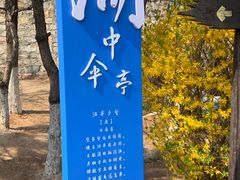 -前关湿地公园