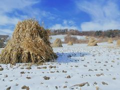 -长春莲花山滑雪场