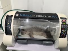 -北京恒爱动物医院(清景园分院)