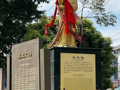 -张醪糟