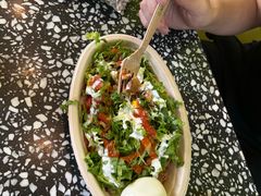 -油梨树AVOCADO TREE(顺义新国展店)