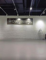 -wow舞蹈培训