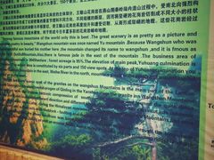 -王顺山国家森林公园