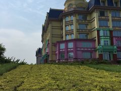-广州花之恋城堡酒店