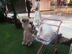 -鹏欣水游城