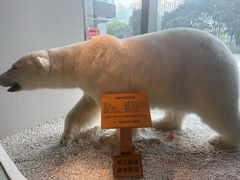 -魏客咖啡(中铁中心店)