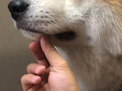 -YCHL Studios健身工作室(市二宫店)