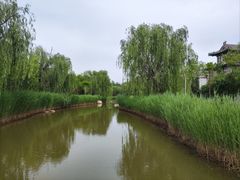 -武清南湖绿博园