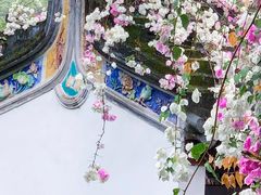 -深圳国际园林花卉博览园