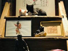 -驿舍·民國老营房院子私房菜(科学会堂店)