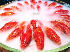 -红盔甲·小龙虾(人民广场店)