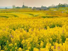 -三圣花乡旅游区