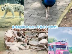 -常州淹城野生动物世界