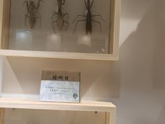 -中山市树木园