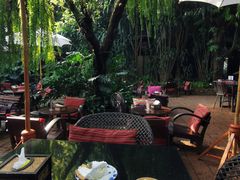 -Fern Forest Cafe