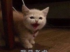 -炭虎子水浒烤肉(梦时代店)