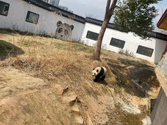 -杭州野生动物世界