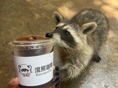 -昆明青龙峡风景区