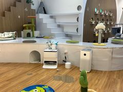 -COLOR PETS 撸猫馆·购猫·猫咖(长风大悦城店)