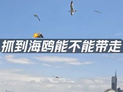 -青岛海滨风景区