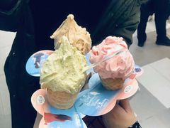 -野人先生现做冰淇淋(西安赛格店)