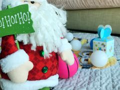 -济南喜来登酒店