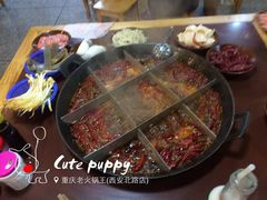 iphone_upload_pic-重庆老火锅王(西安北路店)