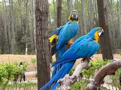 -北京野生动物园