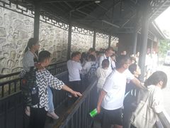 -洛阳白云山景区