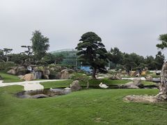 -罗红摄影艺术馆