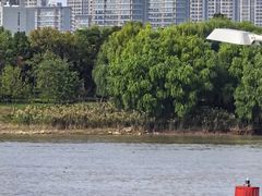 -南京眼步行桥