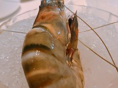 -雍和会海鲜姿造自助(湖东路店)