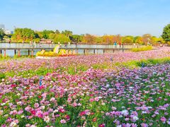 -海珠湖公园