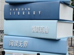 -南山图书馆(常兴路店)