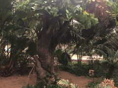 -龙达温泉生态城
