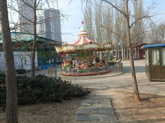 -大望京公园
