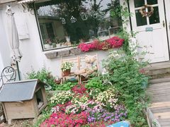 -海边的猫和咖啡馆
