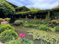 -中国茶叶博物馆(双峰馆区)