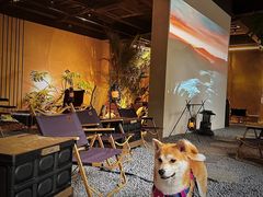 -J Create城市露营咖啡·简餐·宠物(上海动物园店)