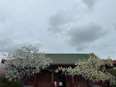 -珠海圆明新园
