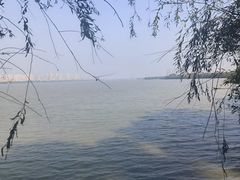 -艾溪湖湿地公园