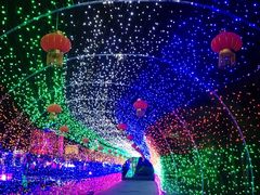-巨鹏飞梦幻海岸