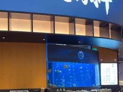 -炉角·鲍鱼牛腩煲(国贸商城店)