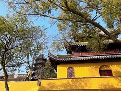 -灵岩山风景区
