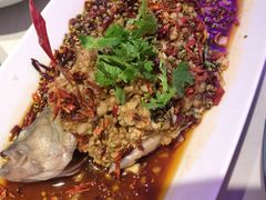 -杨氏青龙虾·羊蝎子(托乐嘉店)