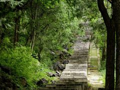 -北京十三陵国家森林公园蟒山景区