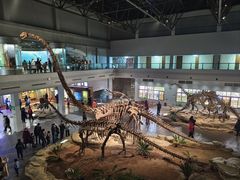 -自贡恐龙博物馆