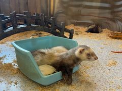 -珠海海泉湾神秘岛亲子乐园