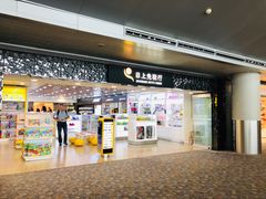-上海浦东国际机场-T2航站楼
