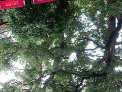-普陀山雷迪森庄园